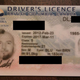 Image for article titled The World’s Greatest Driver’s License Photo